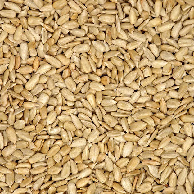 Sunflower Sunflower Seed 500gm