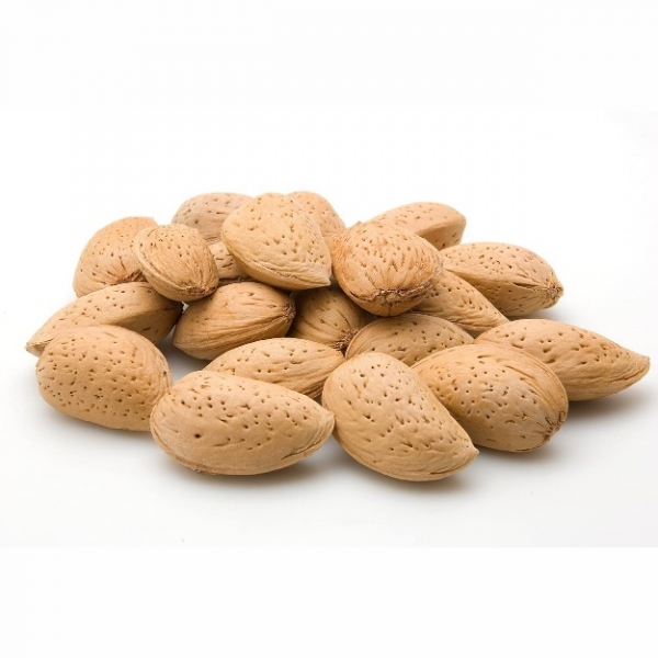 GULFMARKET Almonds In Shell 500g